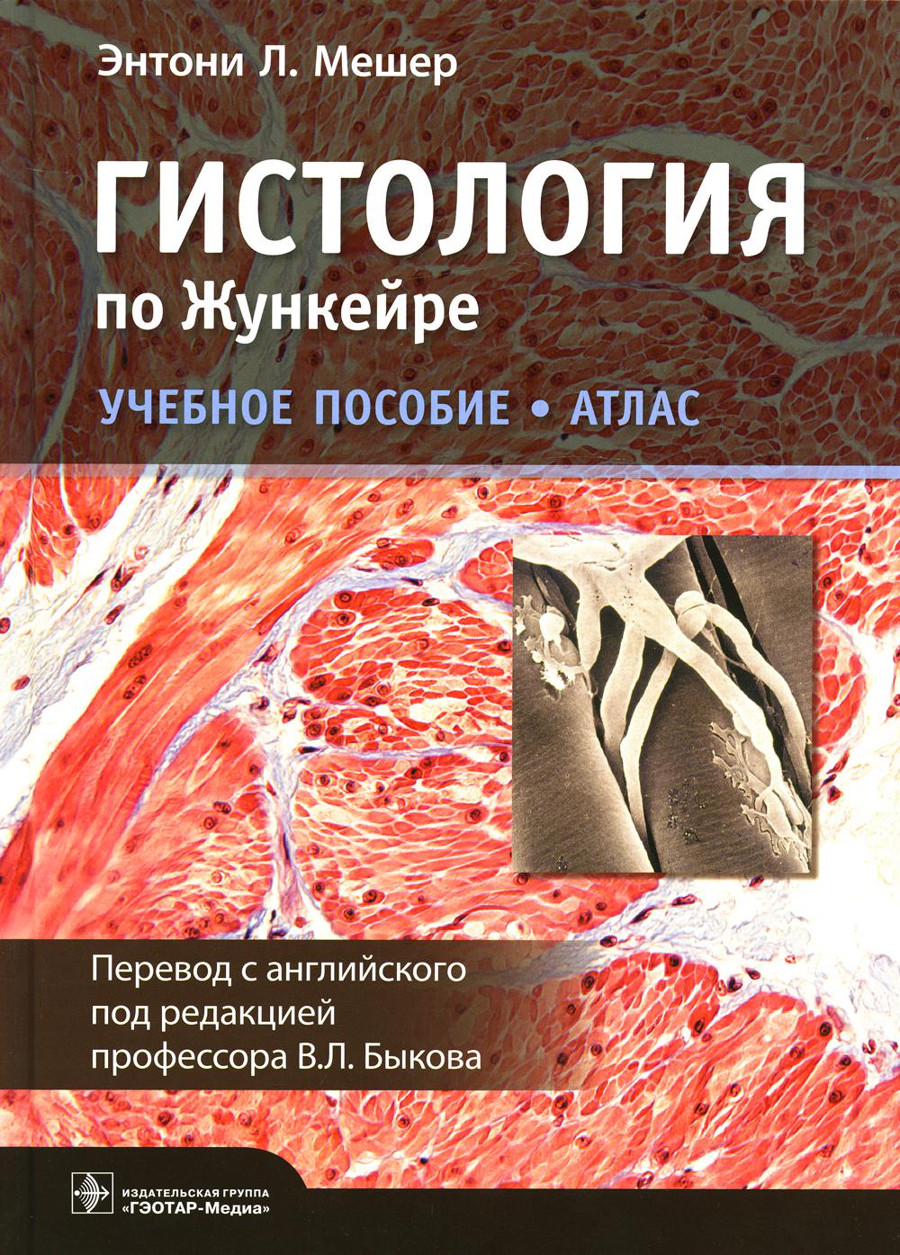 Гистология по Жункейре. Учебное пособие. Атлас (31.05.01 «Лечебное дело», 31.05.02 «Педиатрия», 32.05.02 «Медико-профилактическое дело», 31.05.03 «Стоматология»)