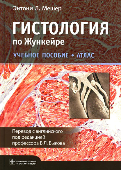 Гистология по Жункейре. Учебное пособие. Атлас (31.05.01 «Лечебное дело», 31.05.02 «Педиатрия», 32.05.02 «Медико-профилактическое дело», 31.05.03 «Стоматология»)