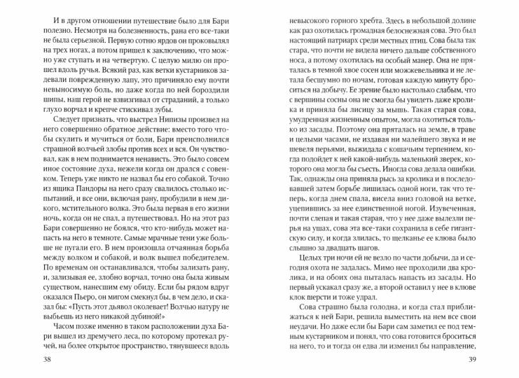 РипА.Природа.Сын Казана:повесть