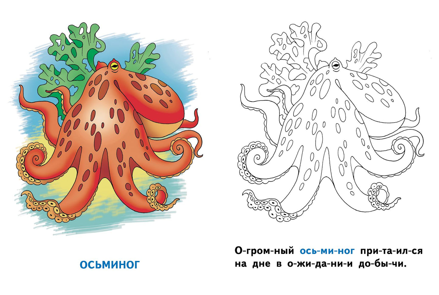 Раскрашиваем и читаем по слогам. Морские животные.