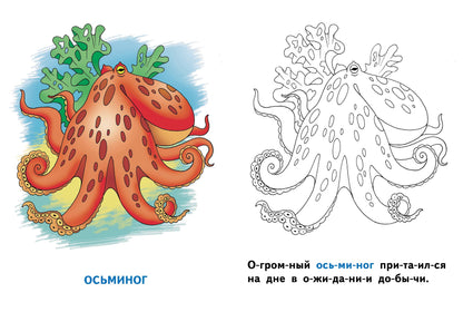 Раскрашиваем и читаем по слогам. Морские животные.