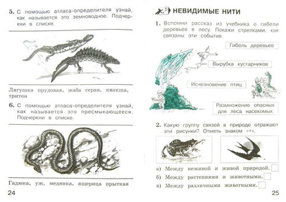 Окружающий мир. Тетрадь для тренировки и самопроверки: пособие для учащихся 2 кл. В 2 частях. Ч.1