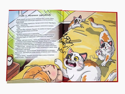КОШКА ШКОДЯ И ЕЁ МАЛЕНЬКОЕ КОРОЛЕВСТВО мат.ламин, выб лак, офсет 203х240