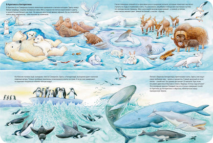 Мир животных (ожидается поступление)