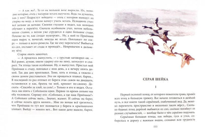 Рассказы и сказки