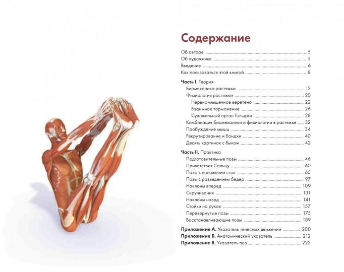 Ключевые позы йоги