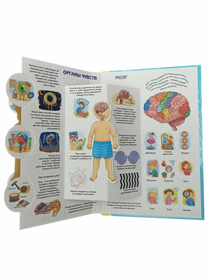 Энциклопедия 3Д СЕКРЕТЫ ЧЕЛОВЕКА твёрдый