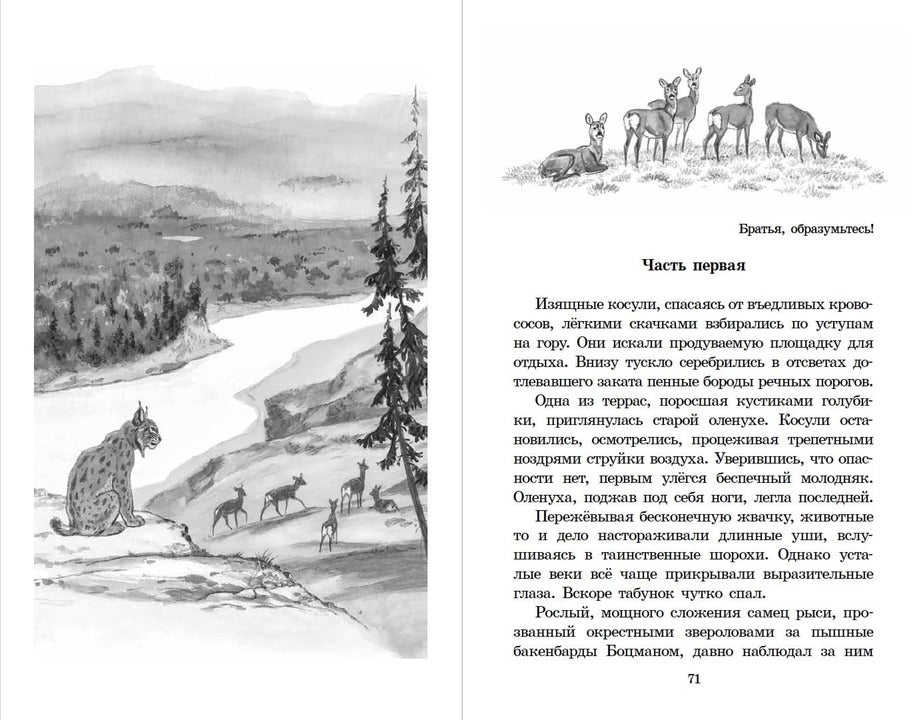 ШБ Зиганшин. Таежными тропами