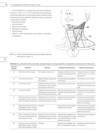 Классификация опухолей TNM. 8-я редакция. Руководство и атлас. Т. 2: Опухоли головы и шеи. Рак молочной железы. Онкогинекология. Онкоурология