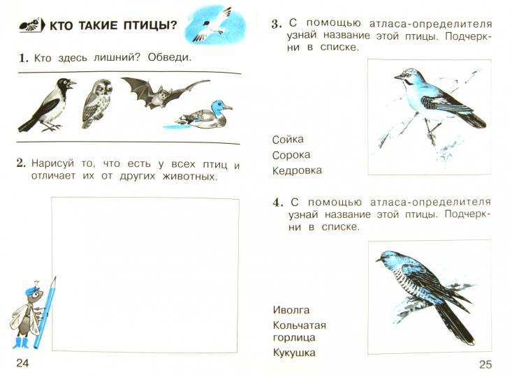 Окружающий мир. 1 кл. В 2 ч. Ч. 1. Тетрадь для тренировки и самопроверки. 9-е изд., перераб. и доп
