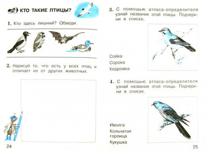 Окружающий мир. 1 кл. В 2 ч. Ч. 1. Тетрадь для тренировки и самопроверки. 9-е изд., перераб. и доп