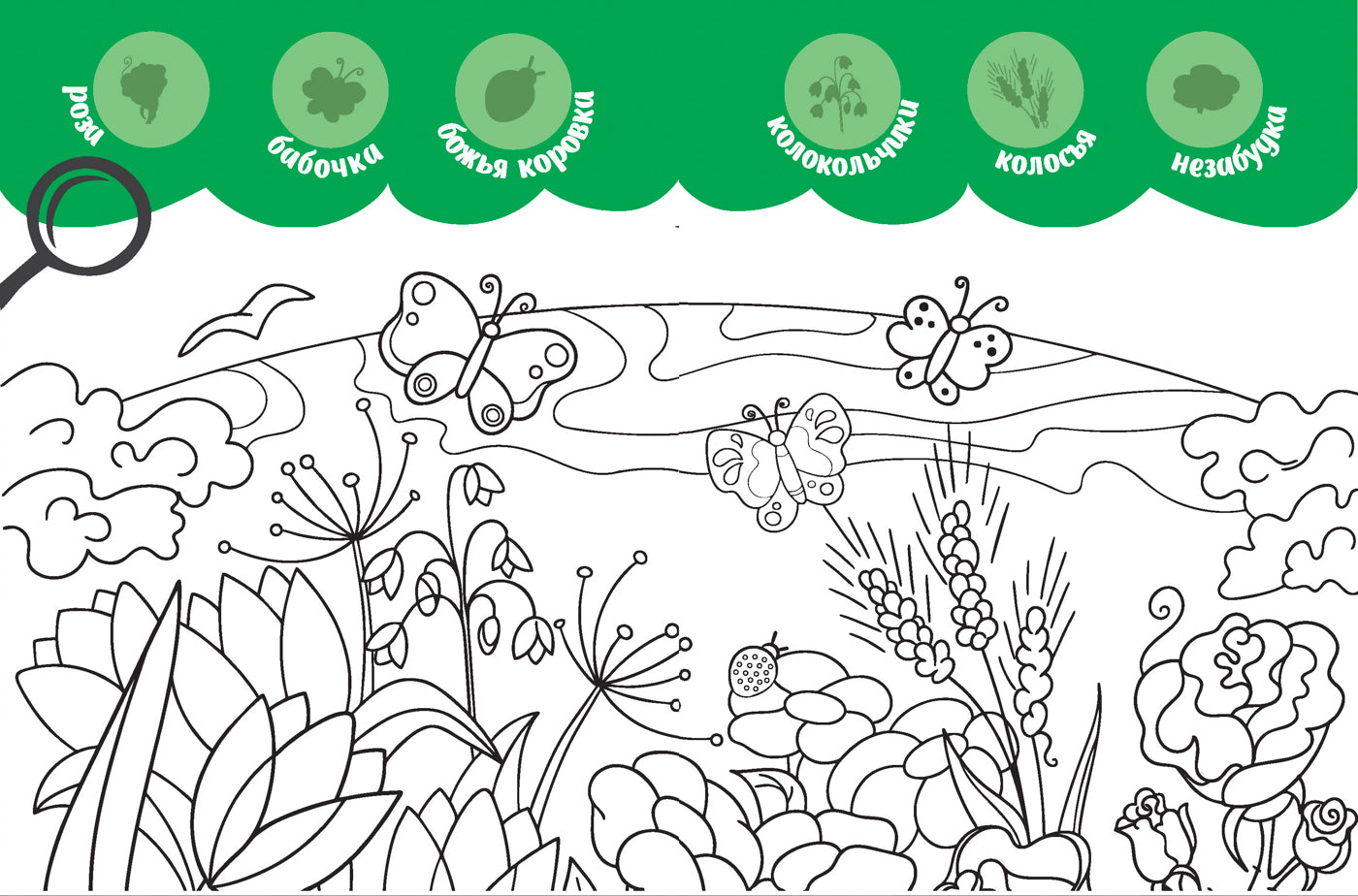 В лесу: книжка-раскраска