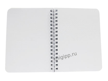 БЛОКНОТ ТОЧКАБУК Little. КОТИК С ЯПОНСКИМИ КАРПАМИ