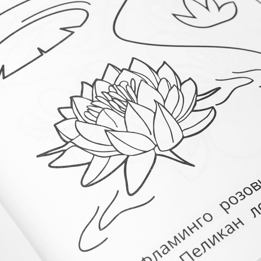 100 животных. Раскраска 100 картинок. 205х280 мм. Скрепка. 64 стр. Умка в кор.30шт