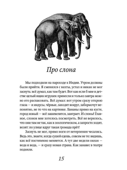 Беспризорная кошка: рассказы, повести