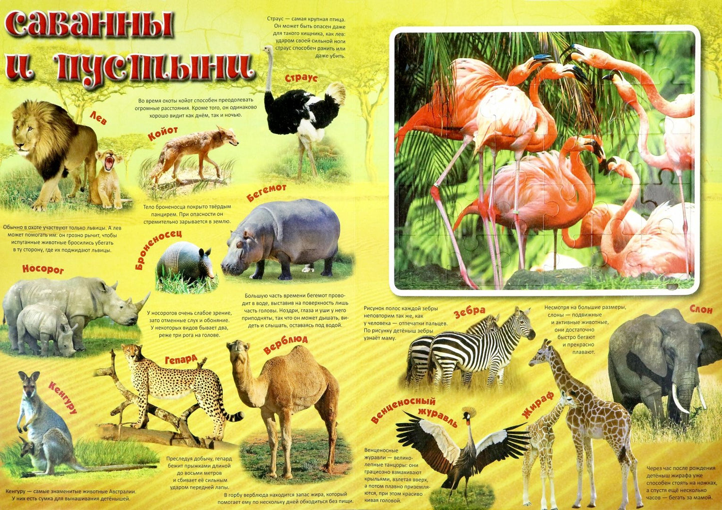 Первые книги малыша. Развитие ребенка