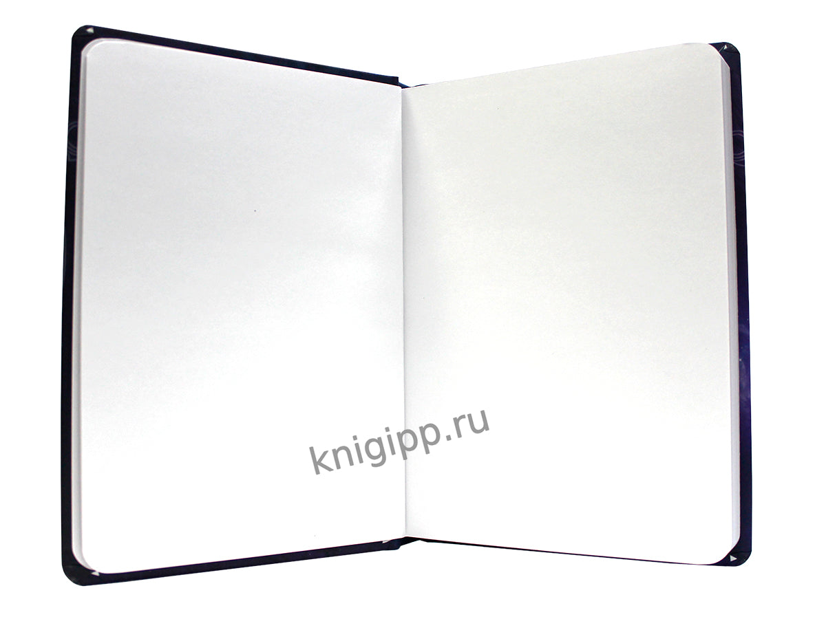 MyArt. СКЕТЧБУК "ЗНАКИ ЗОДИАКА" СКОРПИОН