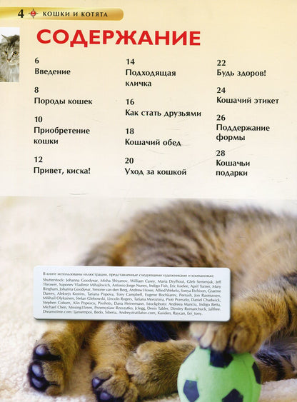 Кошки и котята. Детская энциклопедия