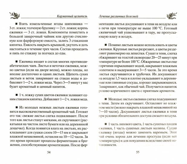 Ежевика. Мощный лекарь от ста недугов. Лечение онкологии, диабета, артрита, атеросклероза, варикоза, гастрита, заболеваний печени, ревматизма