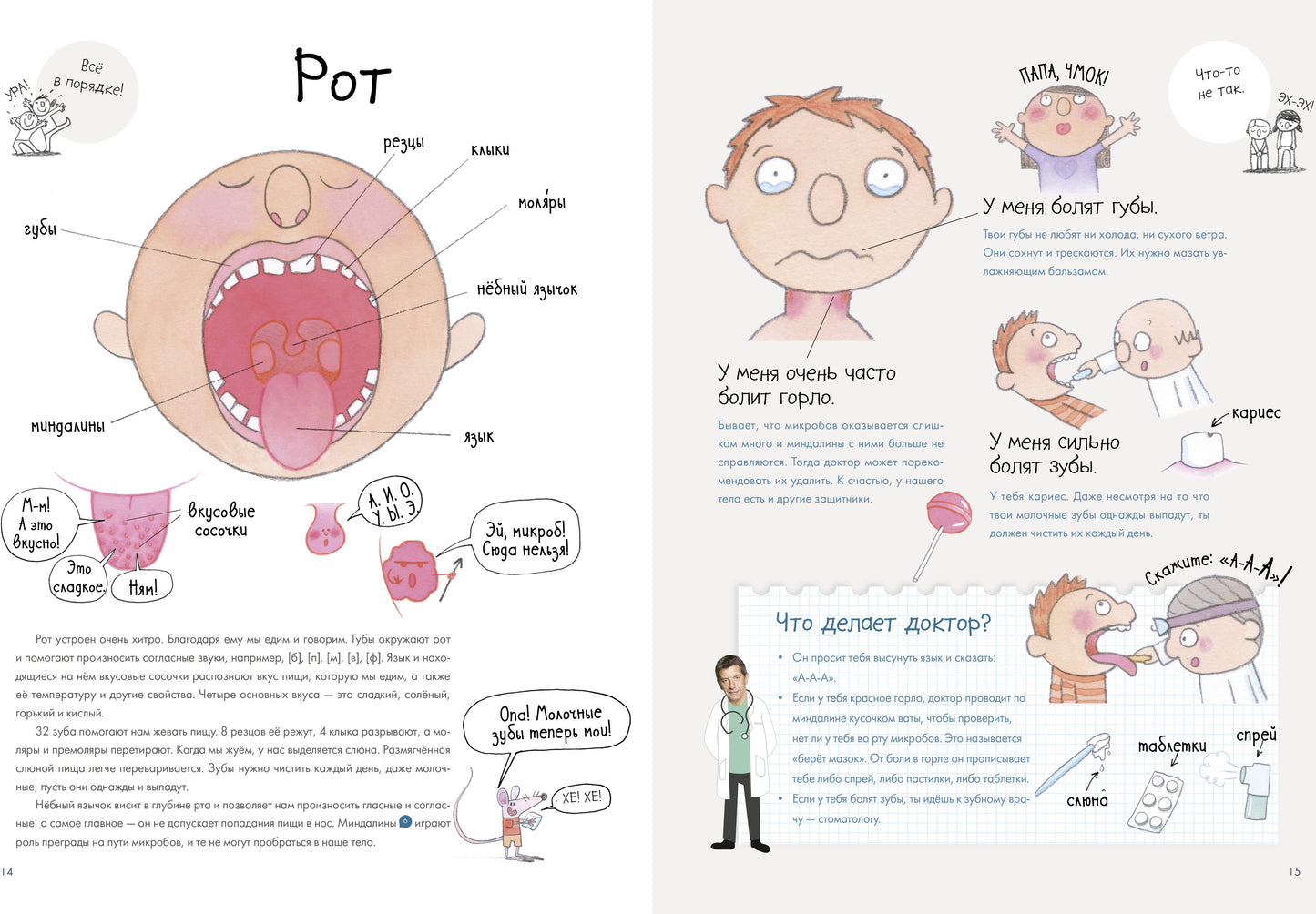 УДД 2021. Удивительные энциклопедии. Секреты тела человека