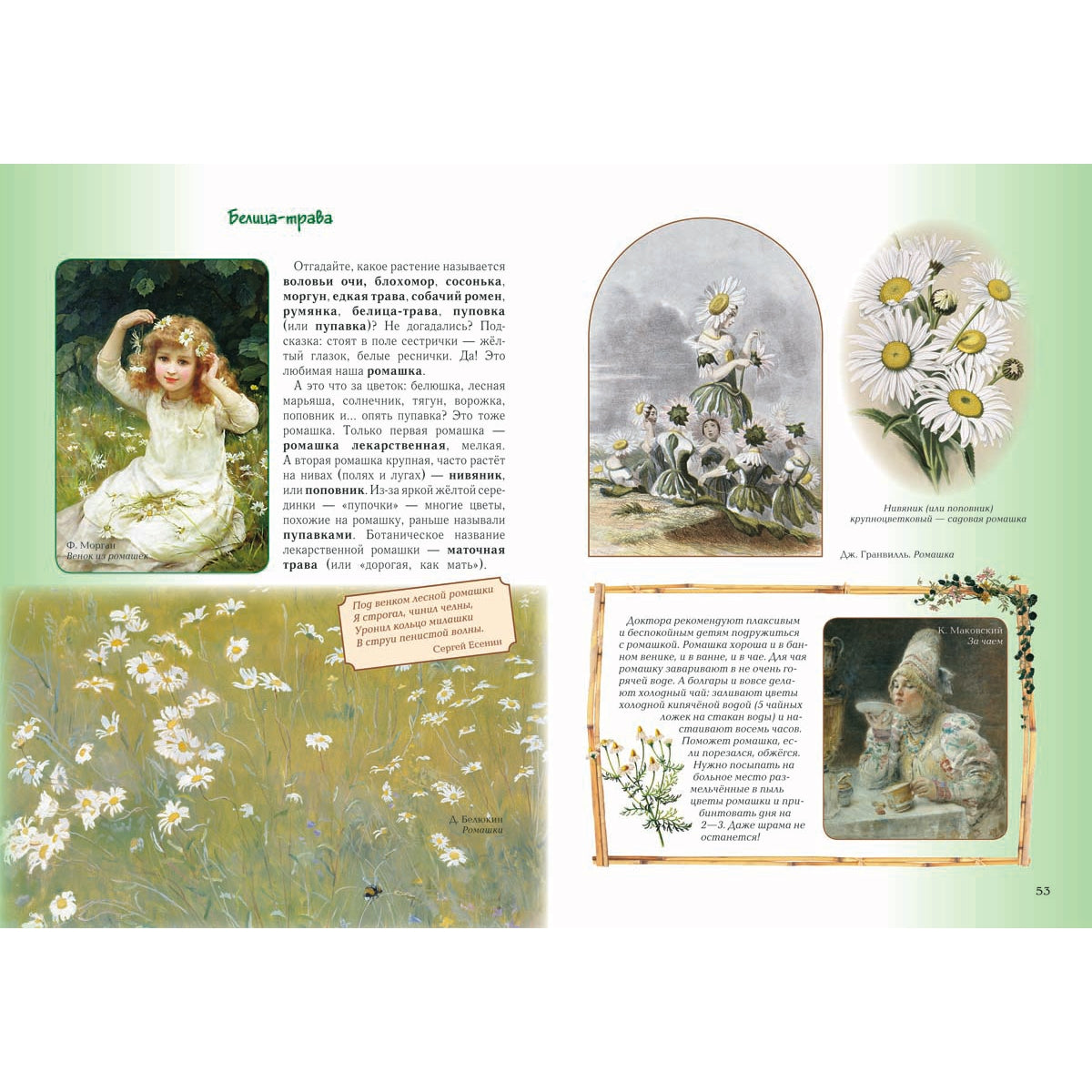 Детский травник