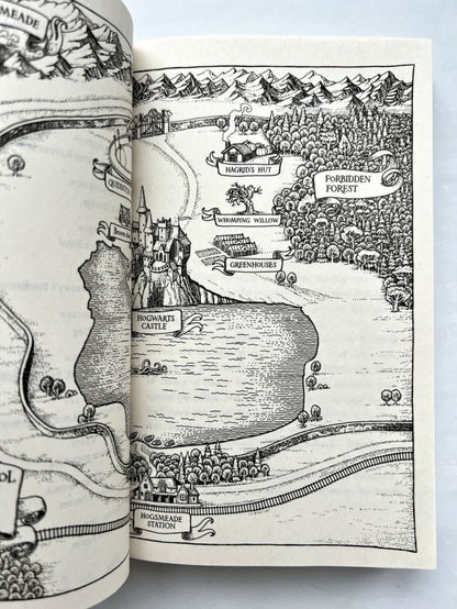 Harry Potter and the Prisoner of Azkaban J.K. Rowling Гарри Поттер и узник Азкабана Д.К. Роулинг / Книги на английском языке