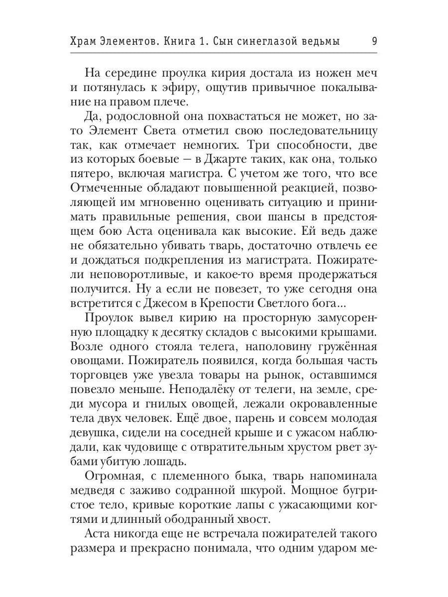 Храм Элементов. Книга 1. Сын синеглазой ведьмы