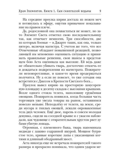 Храм Элементов. Книга 1. Сын синеглазой ведьмы
