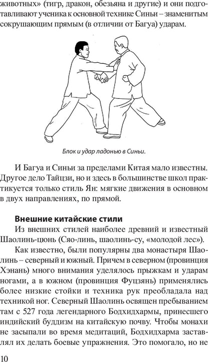 Победить одним ударом. Ват-джитсу