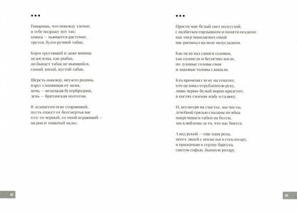 На слонах и черепах