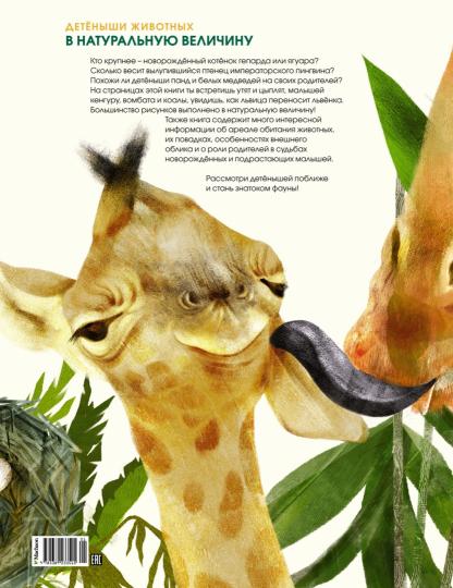 Детёныши животных в натуральную величину