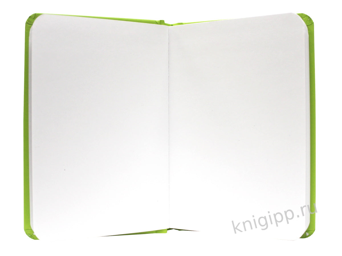 MyArt. XS Pocket СКЕТЧБУК. Физалис