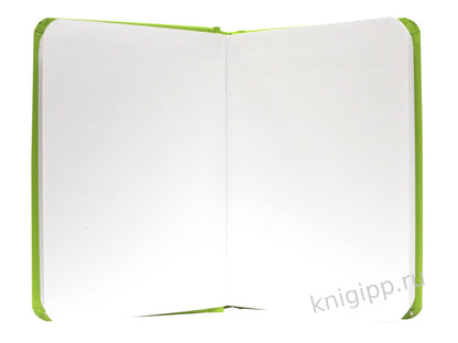 MyArt. XS Pocket СКЕТЧБУК. Физалис