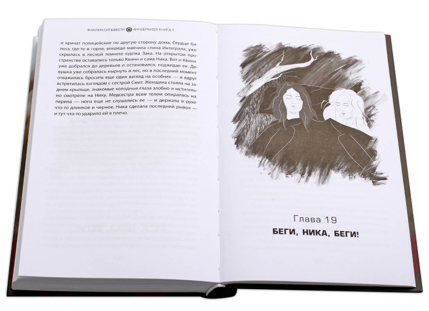 Сильвестр. Вундеркидз, Вилдвудская академия Книга 1