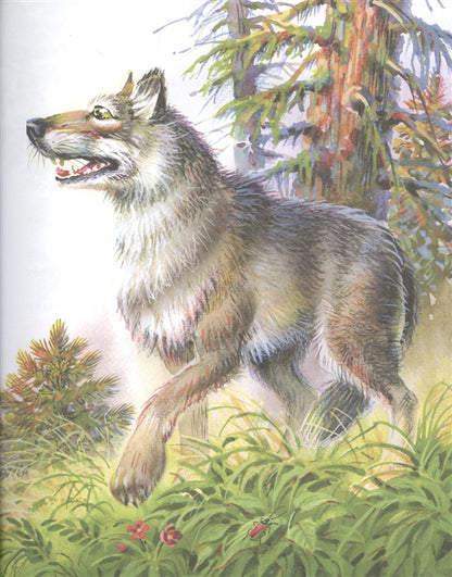 Лучшие сказки и рассказы для детей (ил. В. Канивца)