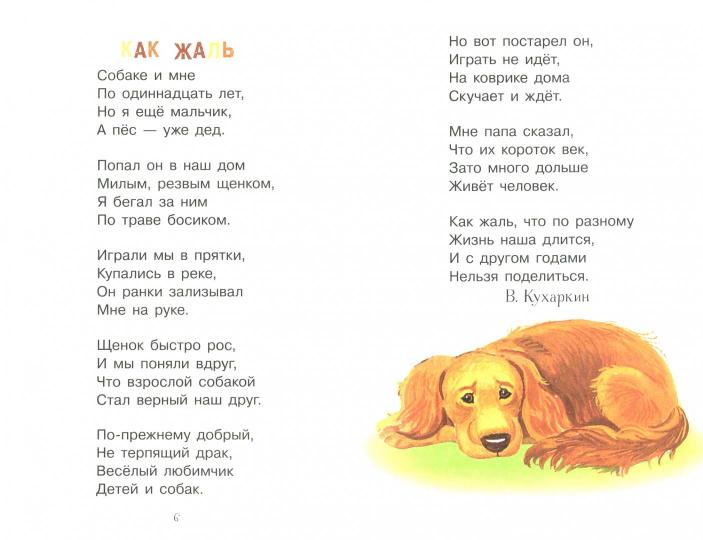 Читаем детям. Мокрый нос, пушистый хвост. Нов.