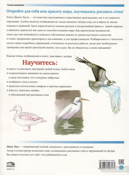 Как рисовать птиц