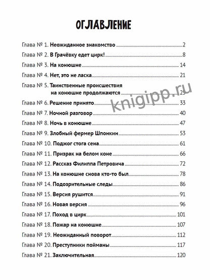 ДЕТСКИЙ ДЕТЕКТИВ. Тайна старой конюшни 128стр