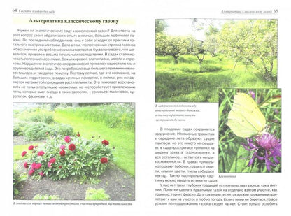 Секреты плодородия сада