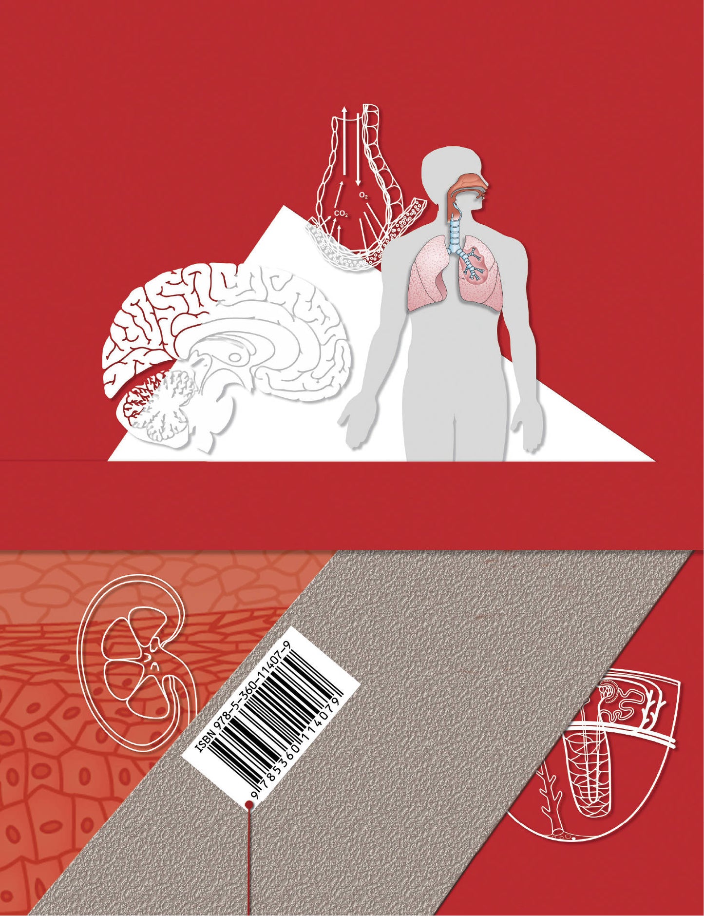 Биология. 9 класс. Учебник.