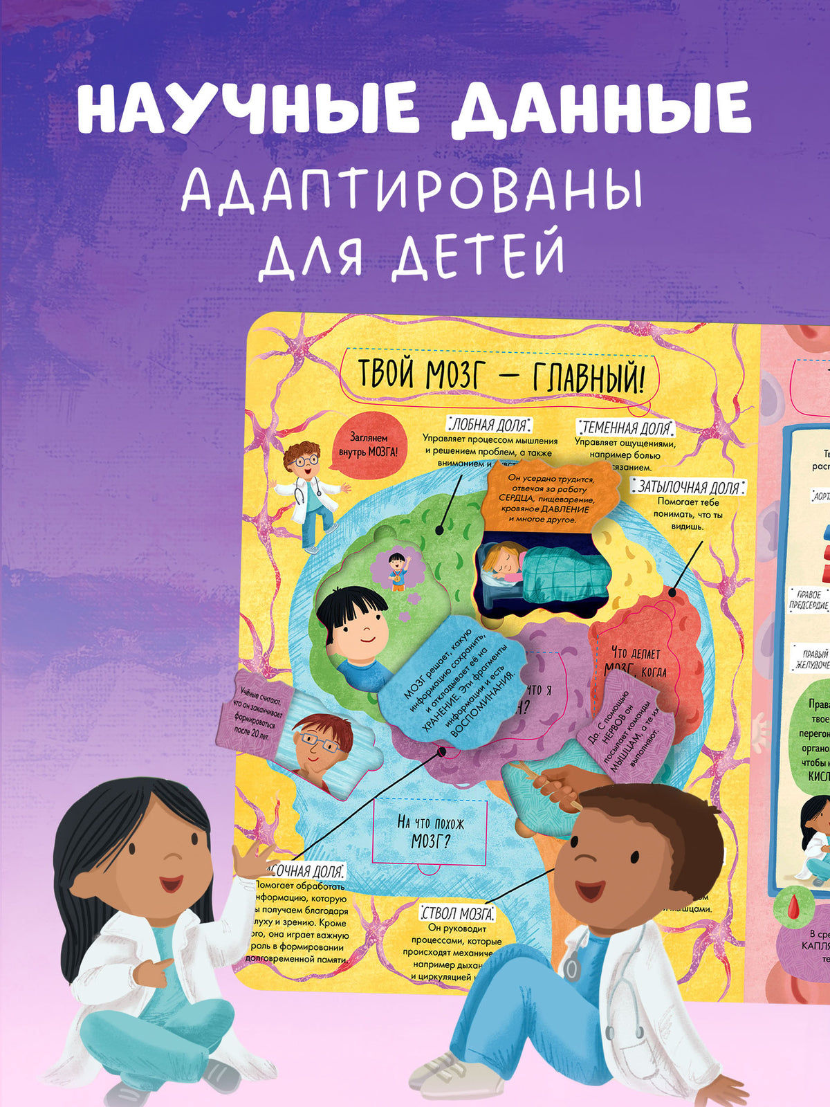 Книжка с окошками. Большая книга с окошками. Тело человека/Мосс Р.