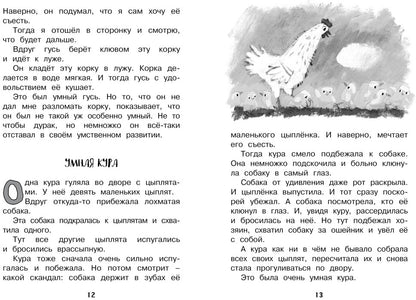 Рассказы для детей