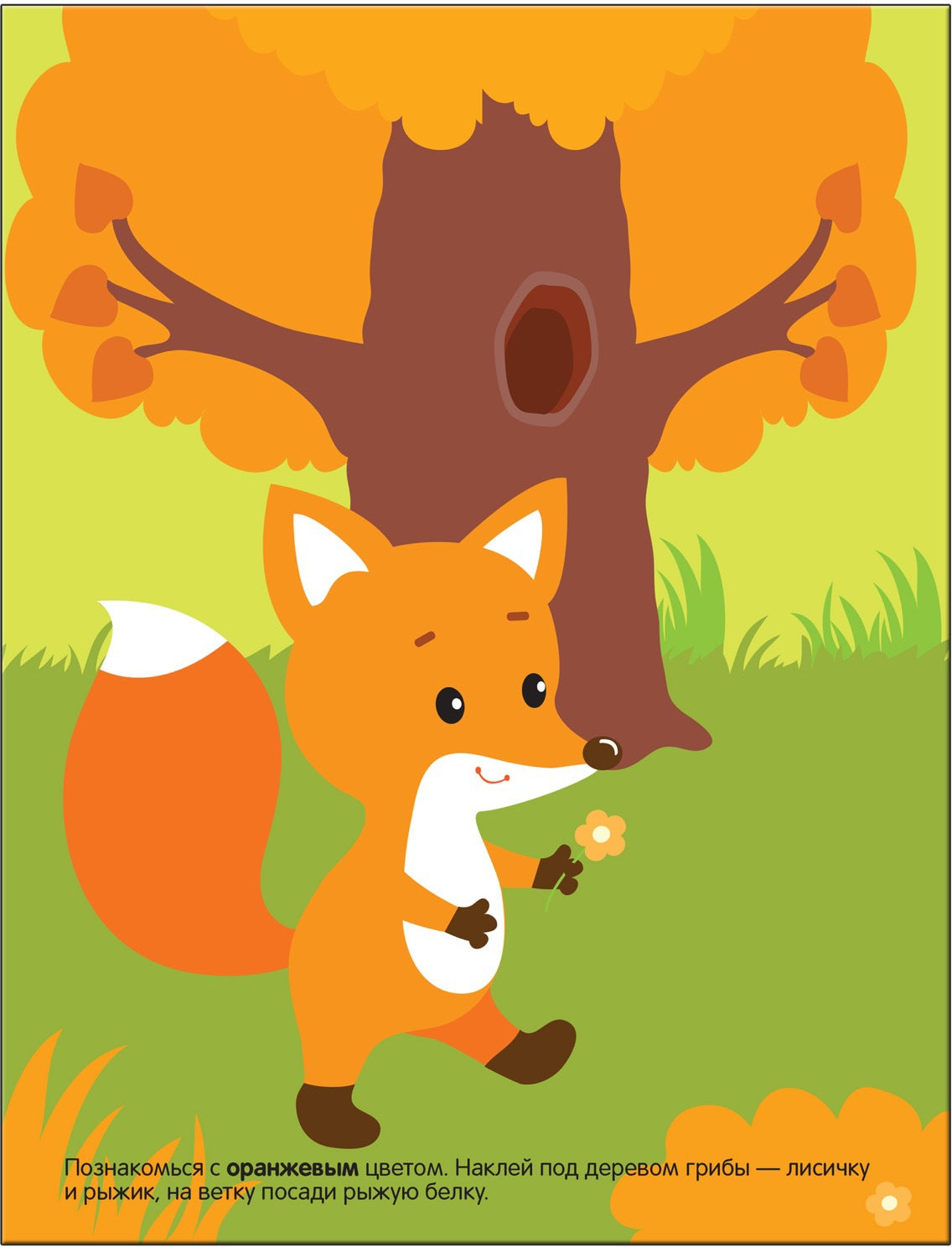 Развивающие наклейки для малышей. Цвет