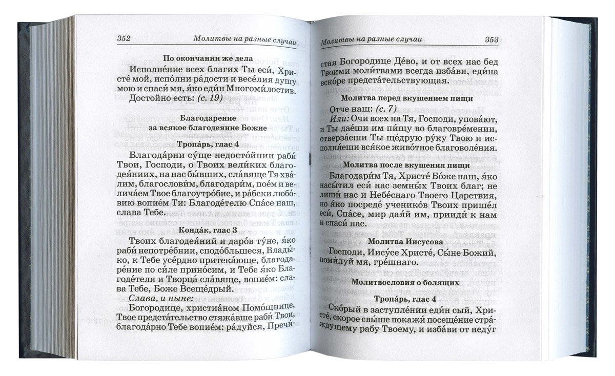 Молитвослов и псалтирь (Риза, Сестричество)