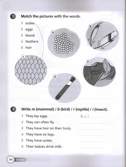 Super Minds 2 Workbook with Online Resources