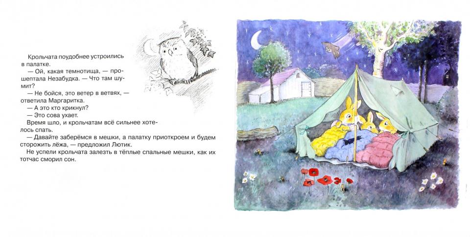 Кто залез в курятник. Эндерсби Ф., Эндерсби К.