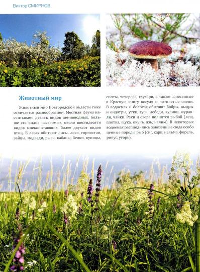 Путешествия по земле Новгородской