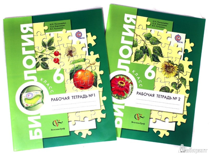 Биология. 6 класс. Рабочая тетрадь №1.