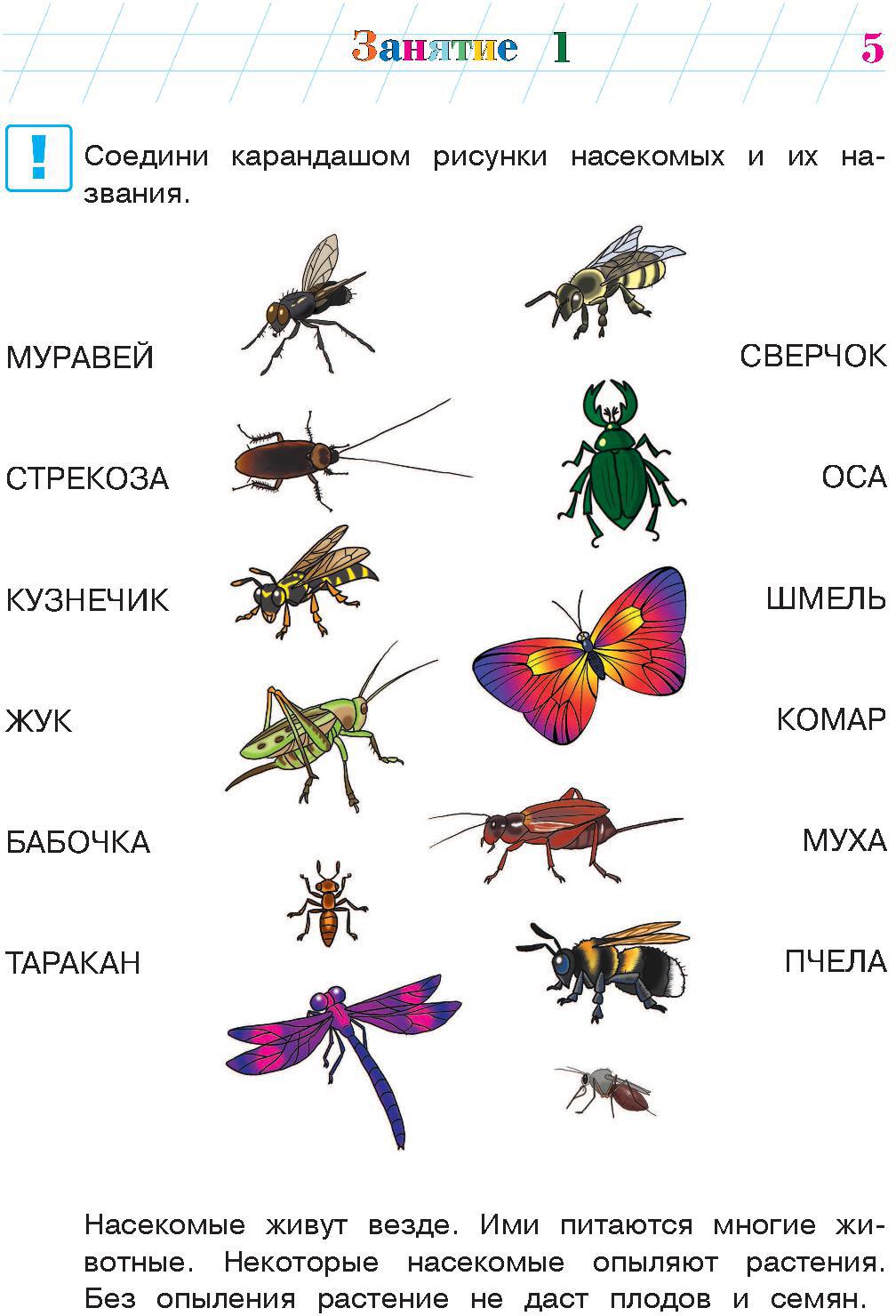 Изучаю мир вокруг: для детей 5-6 лет. Ч. 2