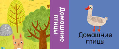 Познаем мир вместе Мои любимые животные. 15 книжек-кубиков/Уткина О.